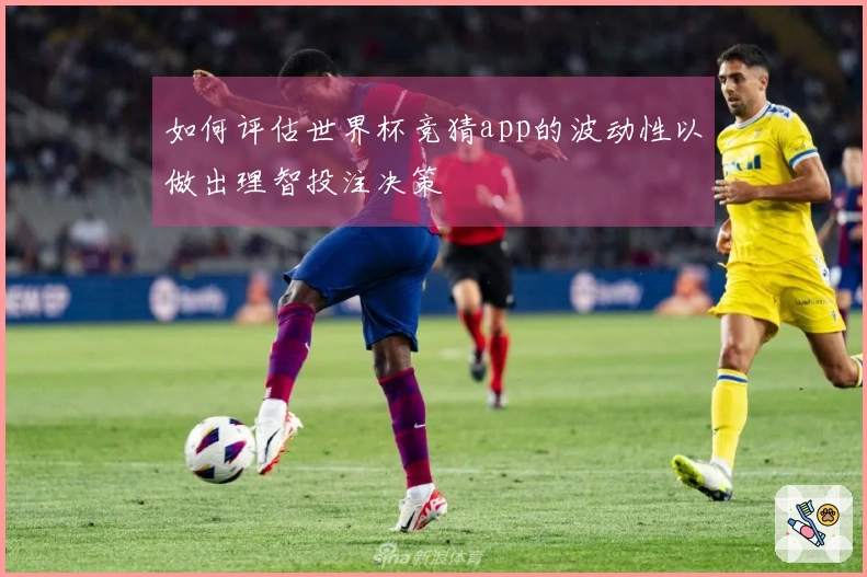 如何评估世界杯竞猜app的波动性以做出理智投注决策